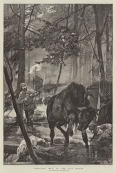 極北でエルクを撃つ